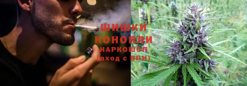 Каннабис SATIVA & INDICA  Болгар 